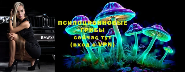 таблы Новодвинск
