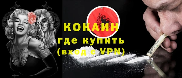 мет Новозыбков