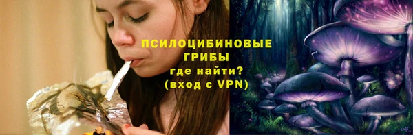 каннабис Новокубанск