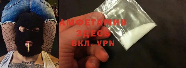 мет Новозыбков