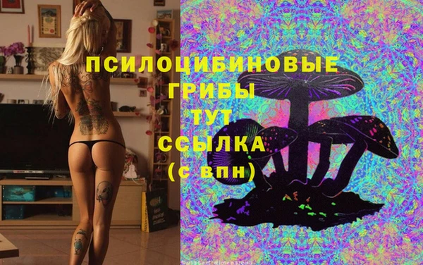 каннабис Новокубанск