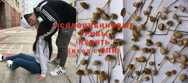 таблы Новодвинск