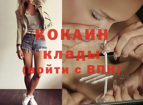 мет Новозыбков