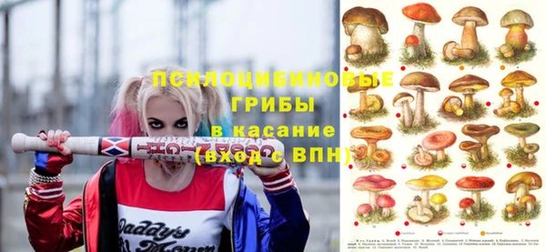 каннабис Новокубанск