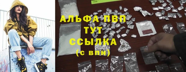таблы Новодвинск