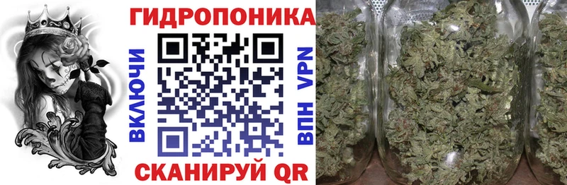 купить наркотик мега вход Конопля конопля Разумное